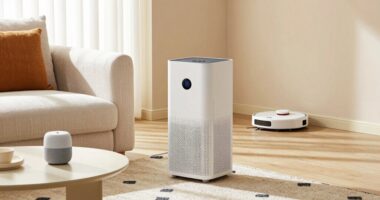 everyday home essentials upgrade