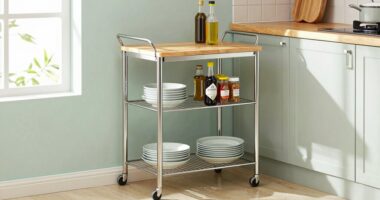 maximizes small kitchen space