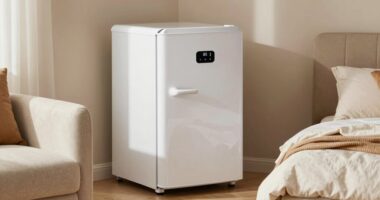 top bedroom mini fridges