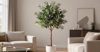 top faux olive trees