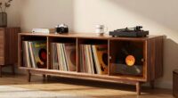 top record storage furniture