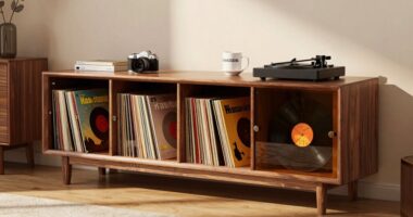 top record storage furniture