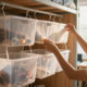 5 Best Dorm Room Storage Solutions in 2026