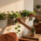 14 Best Command Wall Planters for Easy, Drill-Free Plant Displays in 2026