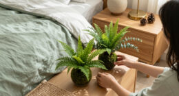 14 Best Forest-Inspired Bedroom Decor for a Woodland Retreat in 2026