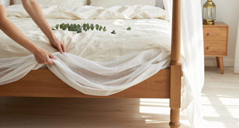 15 Best Canopy Beds in 2026