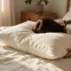 15 Best Down Alternative Bed Pillows for Comfortable Sleep in 2026