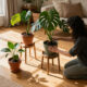 15 Best Houseplant Stands for Stylish, Space-Smart Displays in 2027