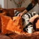 4 Best Halloween Throw Pillows in 2027