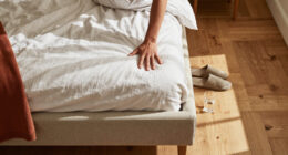 How Silk And Snow’s Upholstered Bed Frame Looks And Feels